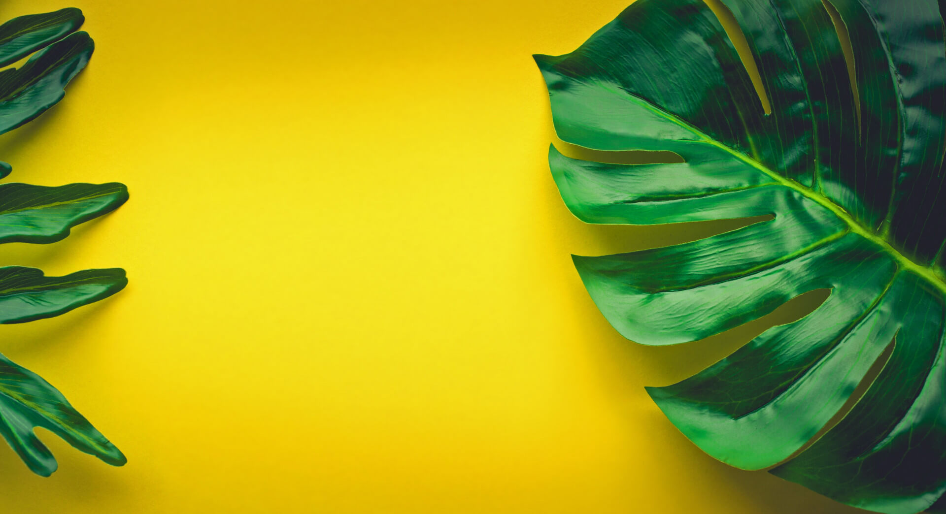 Terms and conditions